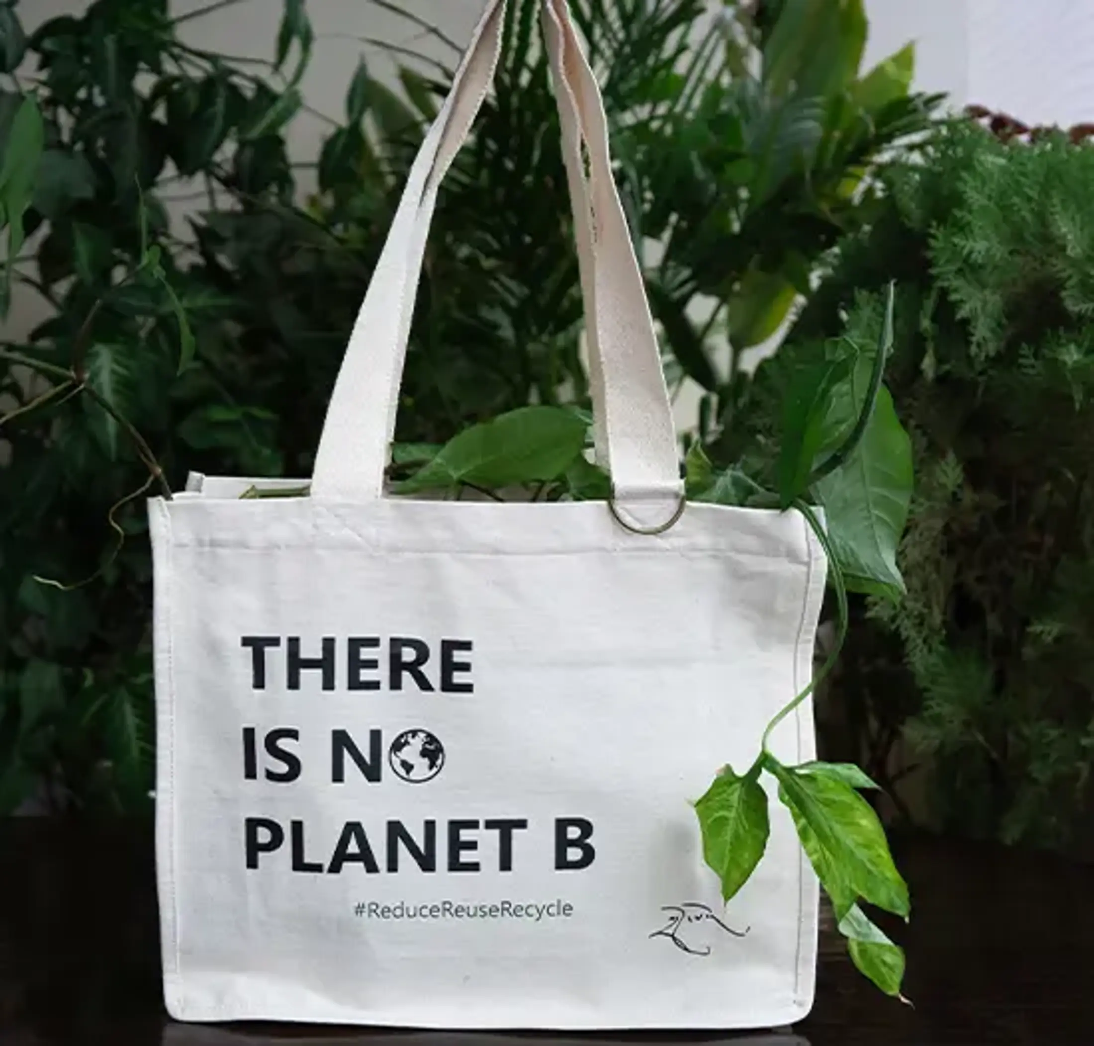 There is no planet b-Tote