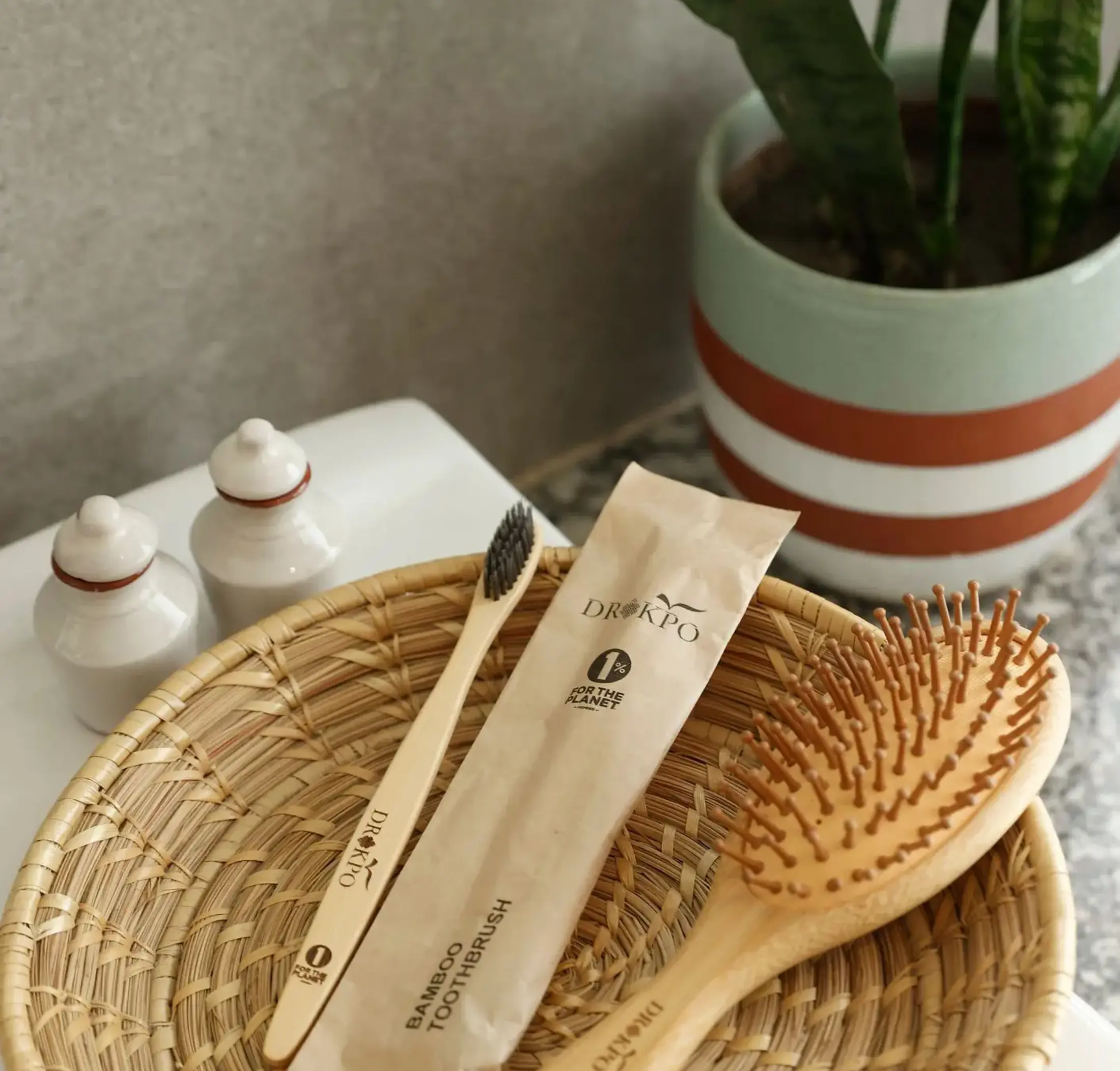 Bamboo hair brush