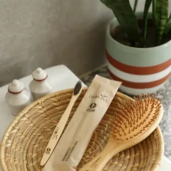 Bamboo hair brush