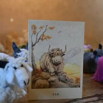 Yak greeting card 