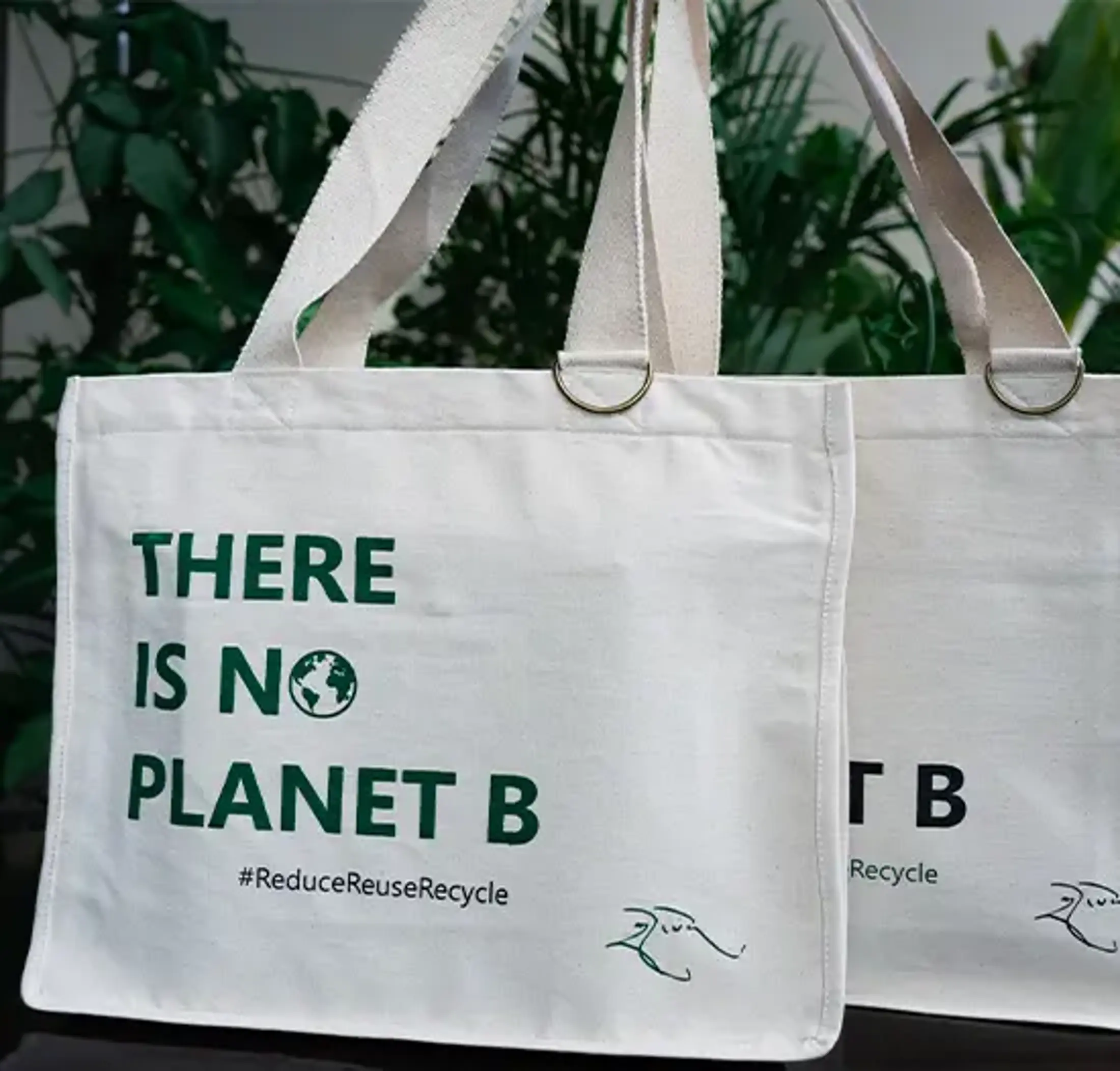 There is no planet b-Tote
