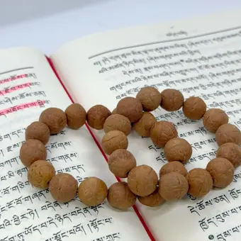 Natural wooden bracelet 