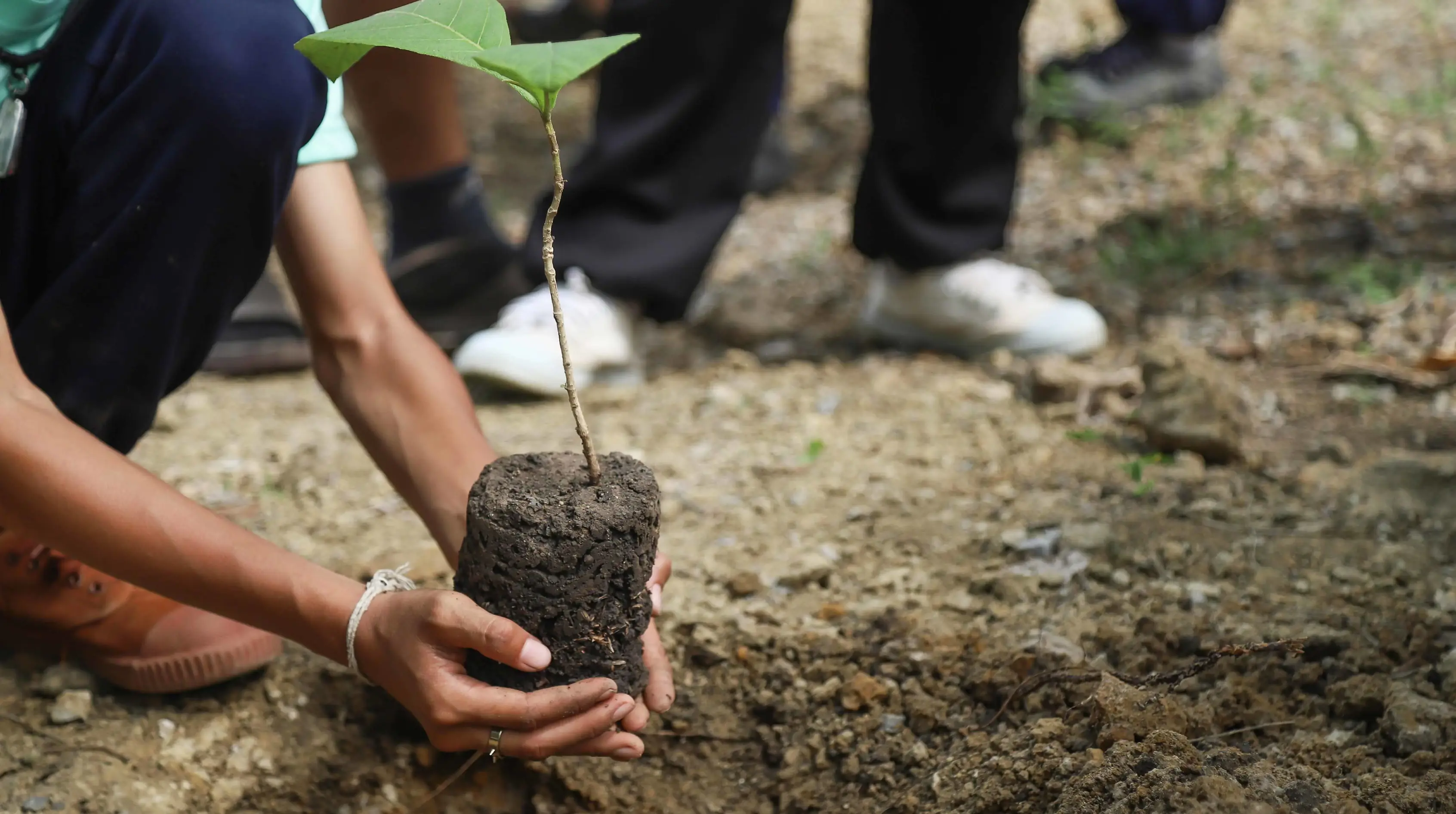 Environment Environment